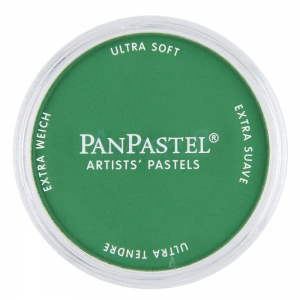 PanPastel 640.5 зеленый permanent, пастель ультрамягкая профессиональная 