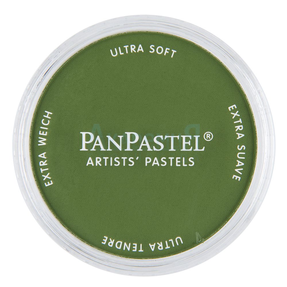 PanPastel 660.5   ,    