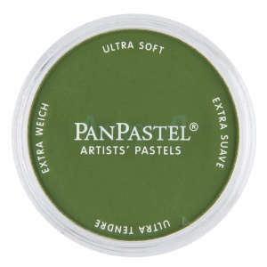 PanPastel 660.5 окись хрома зеленый, пастель ультрамягкая профессиональная 